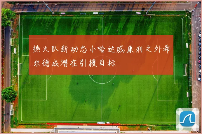 热火队新动态小哈达威康利之外希尔德成潜在引援目标
