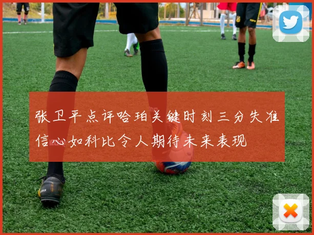 张卫平点评哈珀关键时刻三分失准信心如科比令人期待未来表现