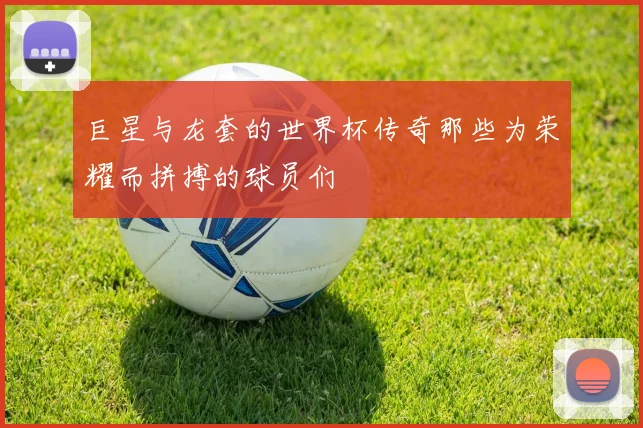 巨星与龙套的世界杯传奇那些为荣耀而拼搏的球员们